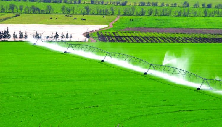 Terre Collective au Maroc : Comprendre les Enjeux et Opportunités pour l'Immobilier