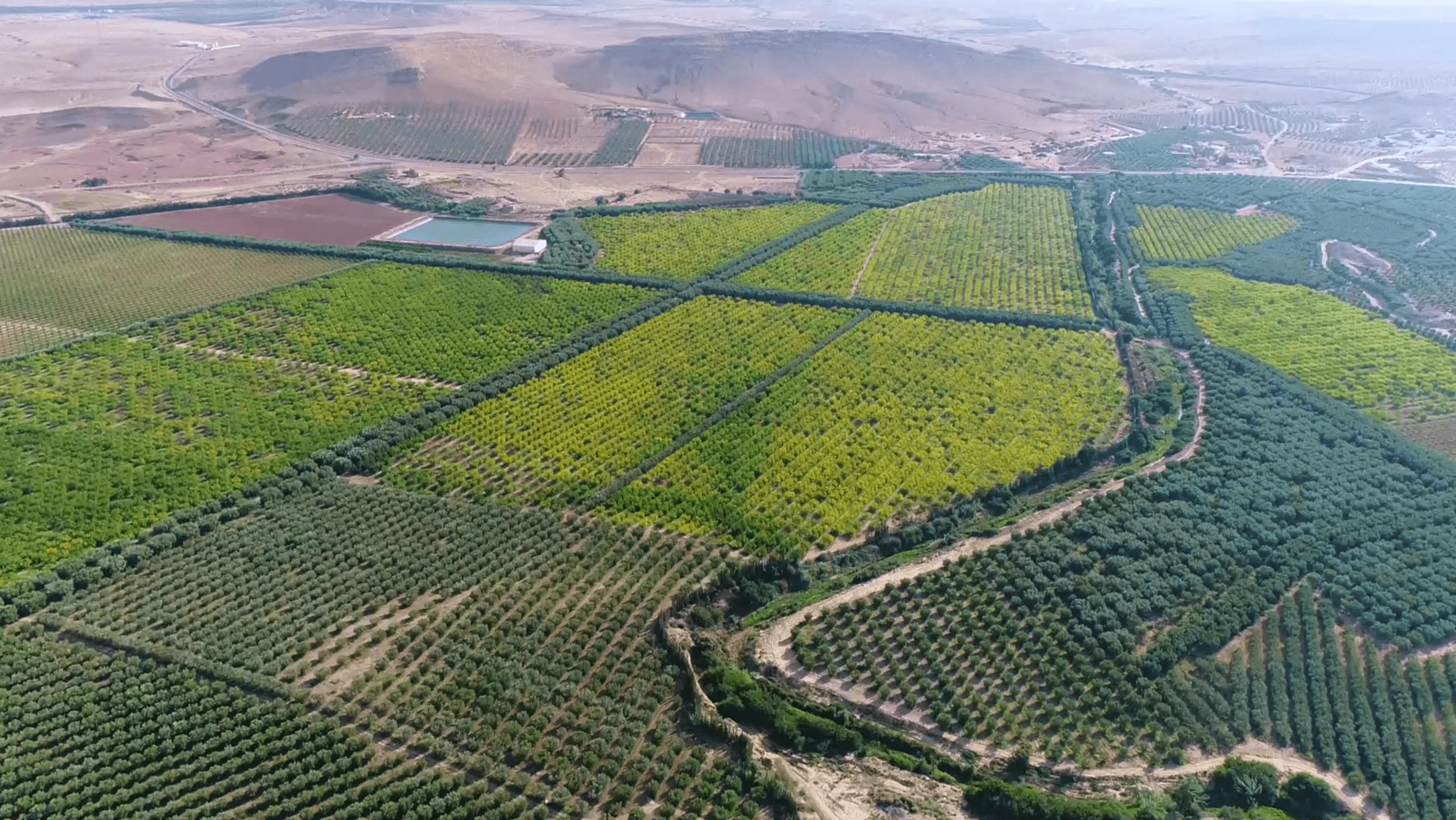 الأراضي السلالية في المغرب: دليل IMMOLIBRE الشامل للمستثمرين والمشترين