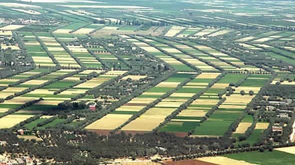 أراضي الجموع والشياع في المغرب: دليل شامل للمستثمرين والعقاريين