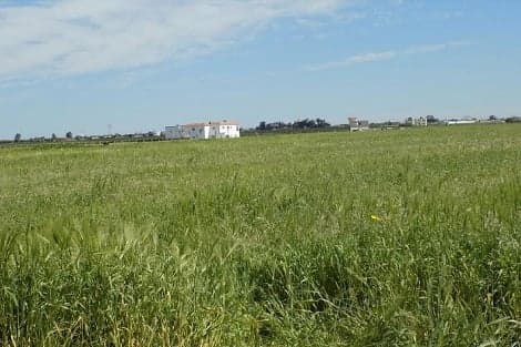 أراضي الكيش بالمغرب: دليل شامل لفهمها وتأثيرها على سوق العقارات